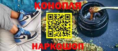 Альфа ПВП Моздок