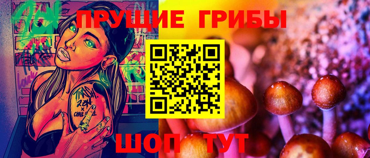 Усть-Джегута  Псилоцибиновые грибы прущие грибы  Вход с VPN  где можно купить   Псилоцибиновые грибы Psilocybe 